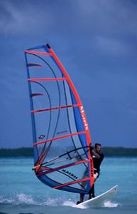 In a break from diving in Bonaire, this windsurfer was sh... by Len Deeley 